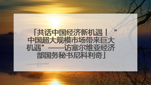 共话中国经济新机遇丨“中国超大规模市场带来巨大机遇”——访塞尔维亚经济部国务秘书尼科利奇