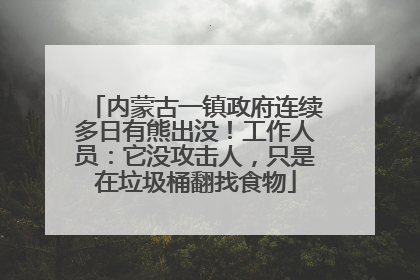 内蒙古一镇政府连续多日有熊出没！工作人员：它没攻击人，只是在垃圾桶翻找食物