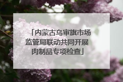 内蒙古乌审旗市场监管局联动共同开展肉制品专项检查