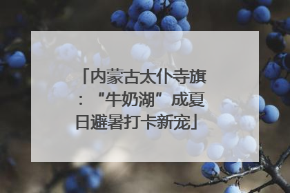 内蒙古太仆寺旗：“牛奶湖”成夏日避暑打卡新宠