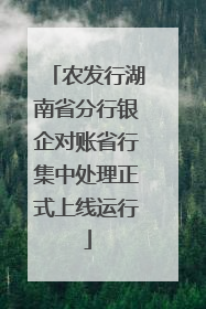 农发行湖南省分行银企对账省行集中处理正式上线运行