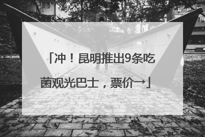 冲！昆明推出9条吃菌观光巴士，票价→