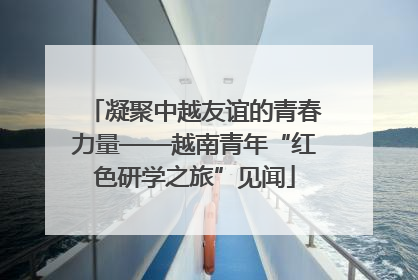 凝聚中越友谊的青春力量——越南青年“红色研学之旅”见闻