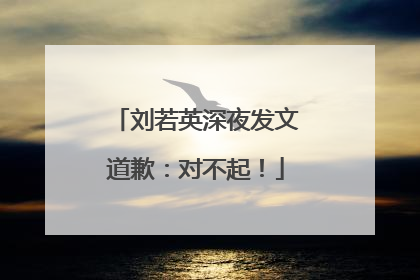 刘若英深夜发文道歉：对不起！