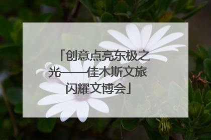 创意点亮东极之光——佳木斯文旅闪耀文博会