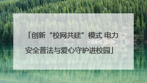 创新“校网共建”模式 电力安全普法与爱心守护进校园