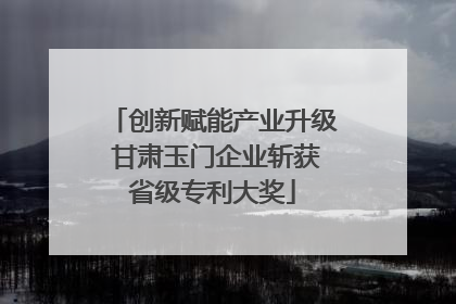 创新赋能产业升级 甘肃玉门企业斩获省级专利大奖