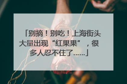 别摘！别吃！上海街头大量出现“红果果”，很多人忍不住了……