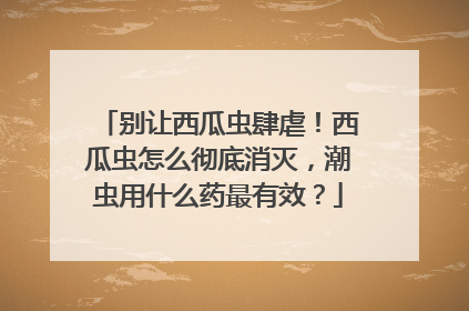 别让西瓜虫肆虐！西瓜虫怎么彻底消灭，潮虫用什么药最有效？