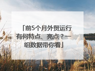 前5个月外贸运行有何特点、亮点？一组数据带你看