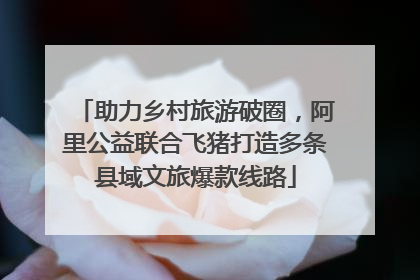 助力乡村旅游破圈，阿里公益联合飞猪打造多条县域文旅爆款线路