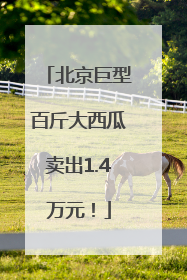 北京巨型百斤大西瓜卖出1.4万元！