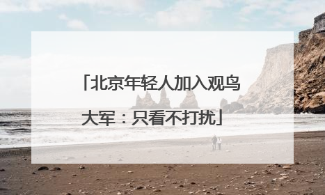 北京年轻人加入观鸟大军：只看不打扰