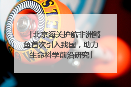 北京海关护航非洲鳉鱼首次引入我国，助力生命科学前沿研究