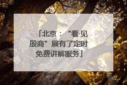 北京：“看·见殷商”展有了定时免费讲解服务