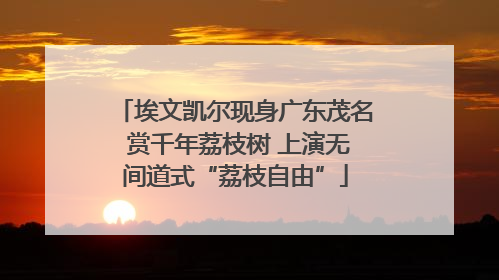埃文凯尔现身广东茂名 赏千年荔枝树 上演无间道式“荔枝自由”