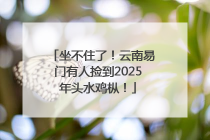 坐不住了！云南易门有人捡到2025年头水鸡枞！