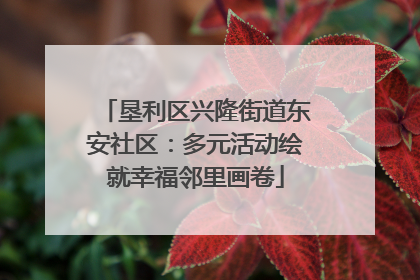 垦利区兴隆街道东安社区：多元活动绘就幸福邻里画卷