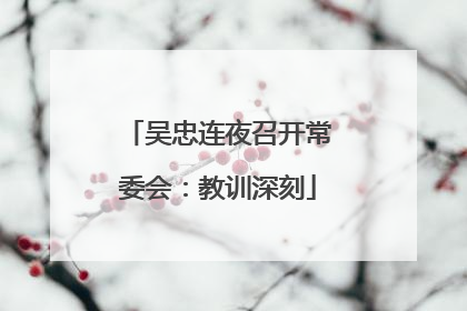吴忠连夜召开常委会：教训深刻