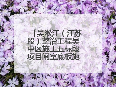吴淞江（江苏段）整治工程吴中区施工五标段项目闸室底板施工浇筑完成