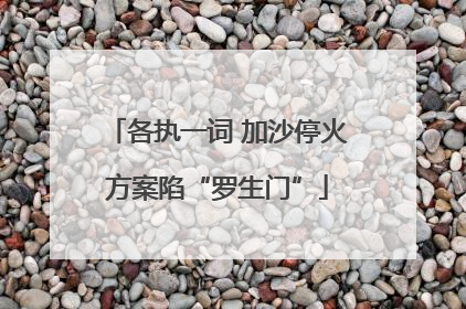 各执一词 加沙停火方案陷“罗生门”