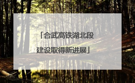 合武高铁湖北段建设取得新进展