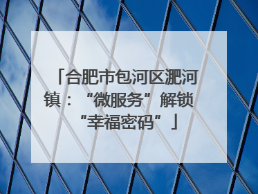 合肥市包河区淝河镇：“微服务”解锁“幸福密码”