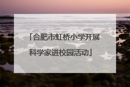 合肥市虹桥小学开展科学家进校园活动