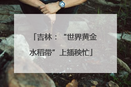 吉林：“世界黄金水稻带”上插秧忙