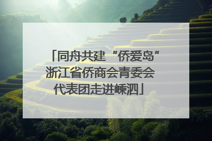 同舟共建“侨爱岛” 浙江省侨商会青委会代表团走进嵊泗