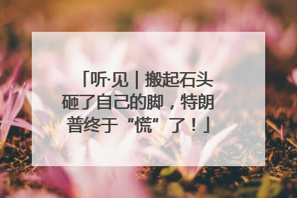 听·见｜搬起石头砸了自己的脚，特朗普终于“慌”了！