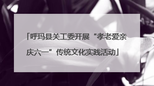 呼玛县关工委开展“孝老爱亲庆六一”传统文化实践活动