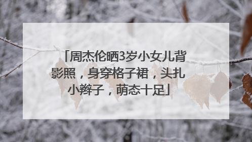 周杰伦晒3岁小女儿背影照，身穿格子裙，头扎小辫子，萌态十足