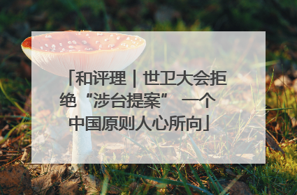 和评理｜世卫大会拒绝“涉台提案” 一个中国原则人心所向