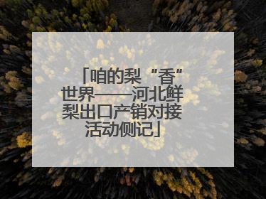 咱的梨“香”世界——河北鲜梨出口产销对接活动侧记