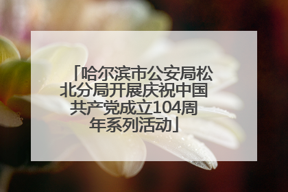 哈尔滨市公安局松北分局开展庆祝中国共产党成立104周年系列活动