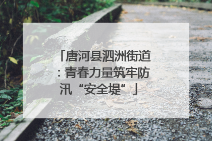 唐河县泗洲街道：青春力量筑牢防汛“安全堤”