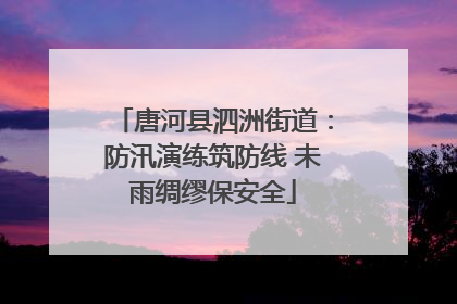 唐河县泗洲街道：防汛演练筑防线 未雨绸缪保安全