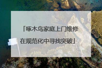 啄木鸟家庭上门维修在规范化中寻找突破