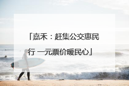 嘉禾：赶集公交惠民行 一元票价暖民心