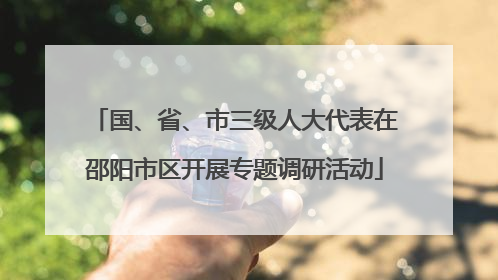 国、省、市三级人大代表在邵阳市区开展专题调研活动