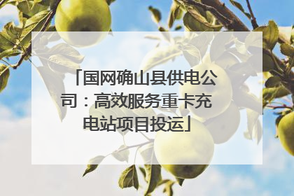 国网确山县供电公司：高效服务重卡充电站项目投运