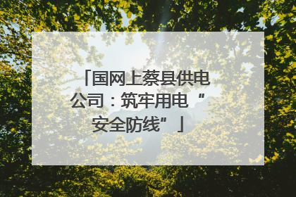 国网上蔡县供电公司：筑牢用电“安全防线”