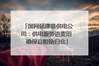 国网延津县供电公司：供电服务进麦田 确保夏粮稳归仓