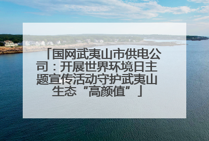 国网武夷山市供电公司：开展世界环境日主题宣传活动守护武夷山生态“高颜值”