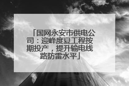 国网永安市供电公司：迎峰度夏工程按期投产，提升输电线路防雷水平