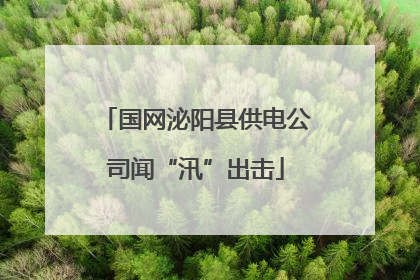 国网泌阳县供电公司闻“汛”出击