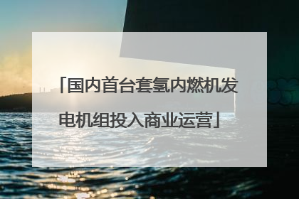 国内首台套氢内燃机发电机组投入商业运营