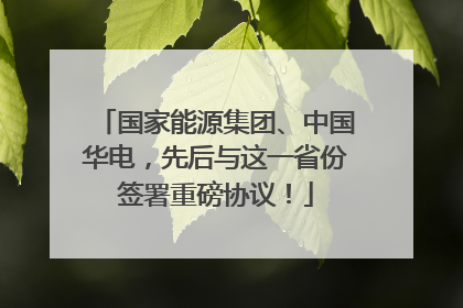 国家能源集团、中国华电，先后与这一省份签署重磅协议！