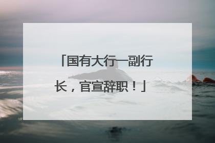 国有大行一副行长，官宣辞职！